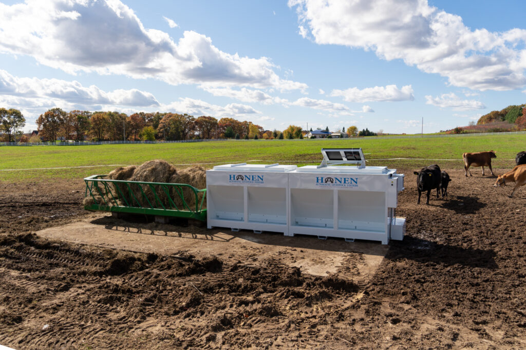 Animal gathering by Hanen automatic cattle feeder